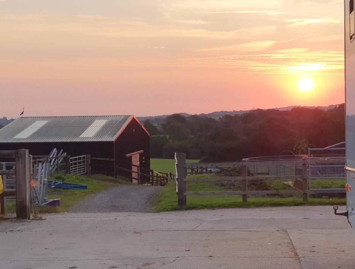 Knapp Farm Glamping Lodge 2 Corscombe Exterior foto